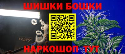 прущие грибы Мариинск