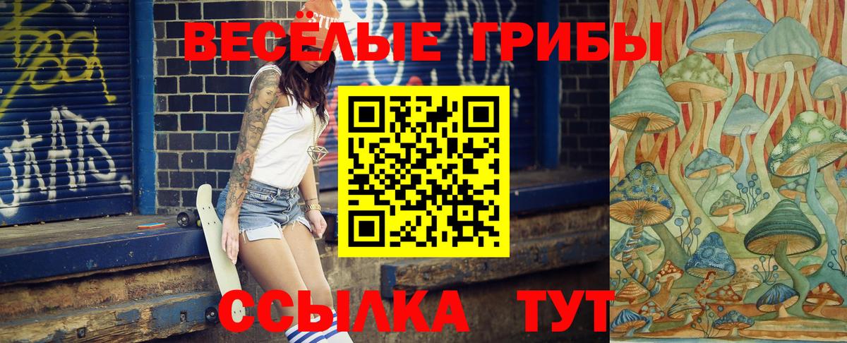 Галлюциногенные грибы Magic Shrooms  Вход с VPN  Галлюциногенные грибы Psilocybine cubensis  Салехард 