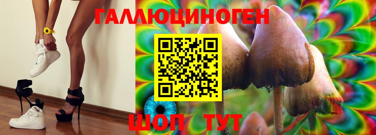 Галлюциногенные грибы Cubensis Салехард
